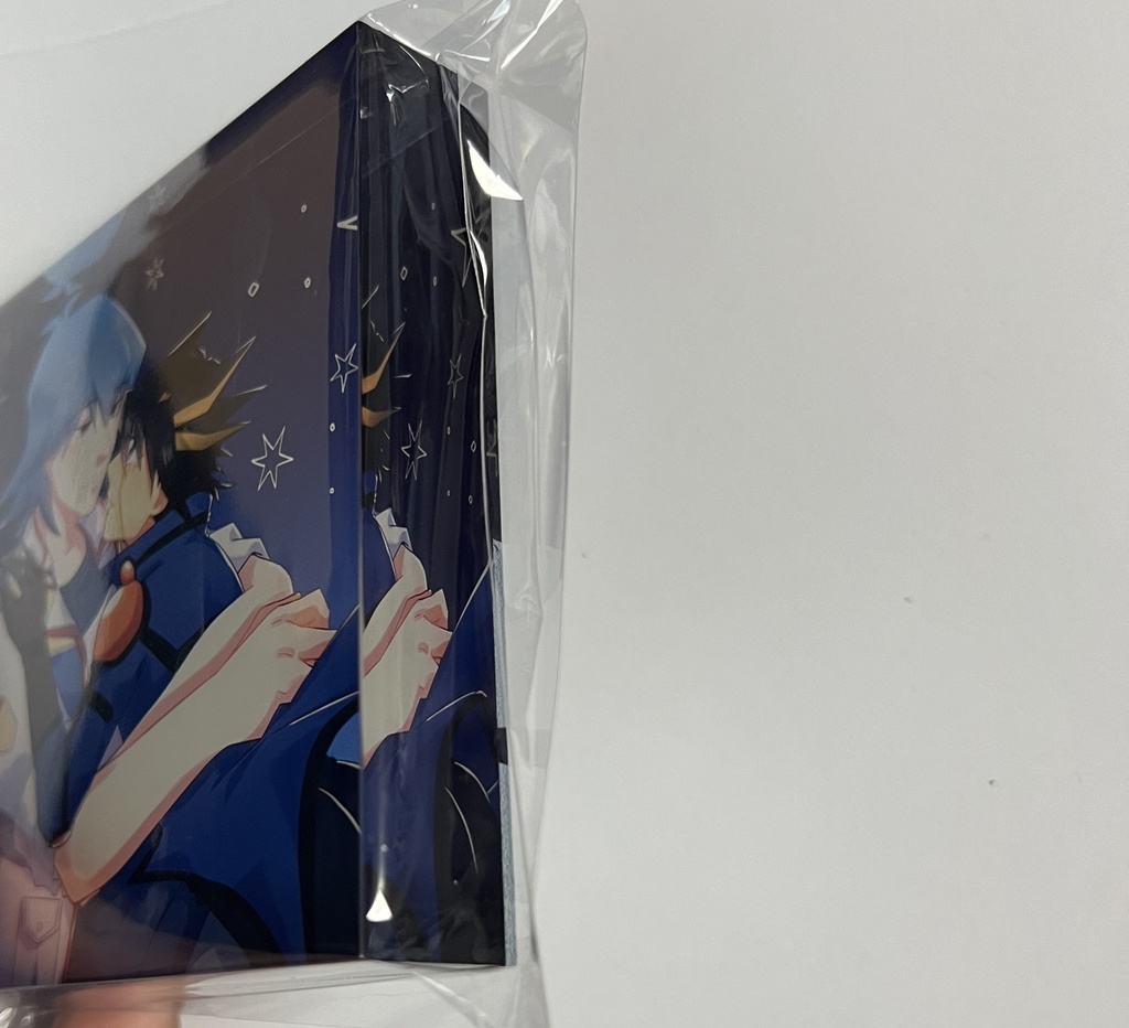 ブル遊アクリルブロック