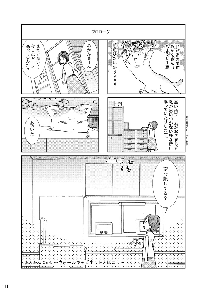 おみかんにゃんふたたび!!