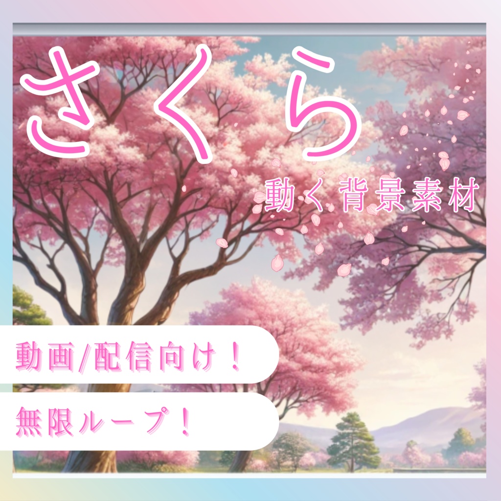 【動く配信背景】「静寂の桜窓」🌸MV・配信・映像制作に使える【背景動画】
