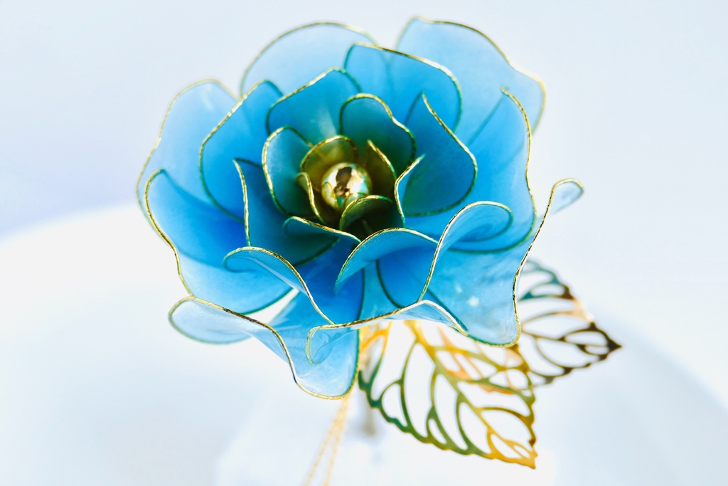 一期一振からのお花