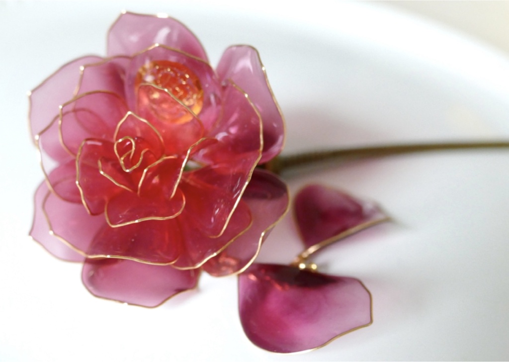加州清光の花