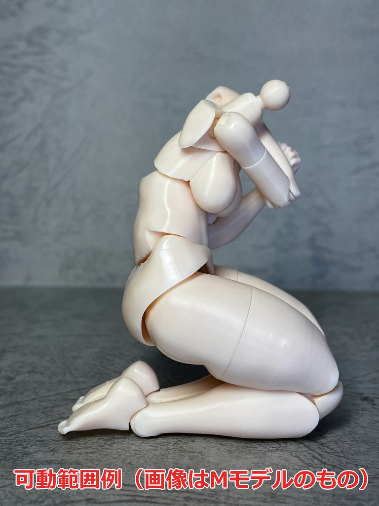 T-D/MRボディ(ver.1.20) S(ショーティ)モデル