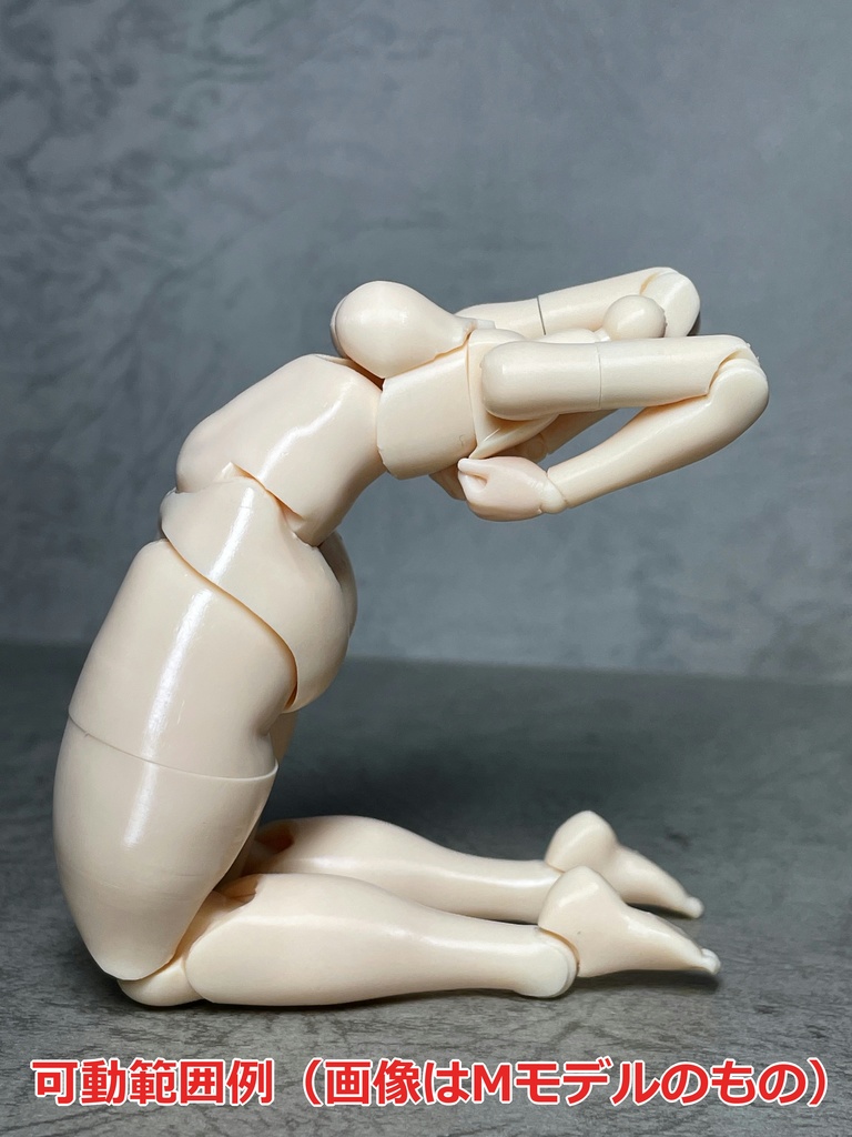 T-D/MRボディ(ver.1.20) K(キロトン)モデル