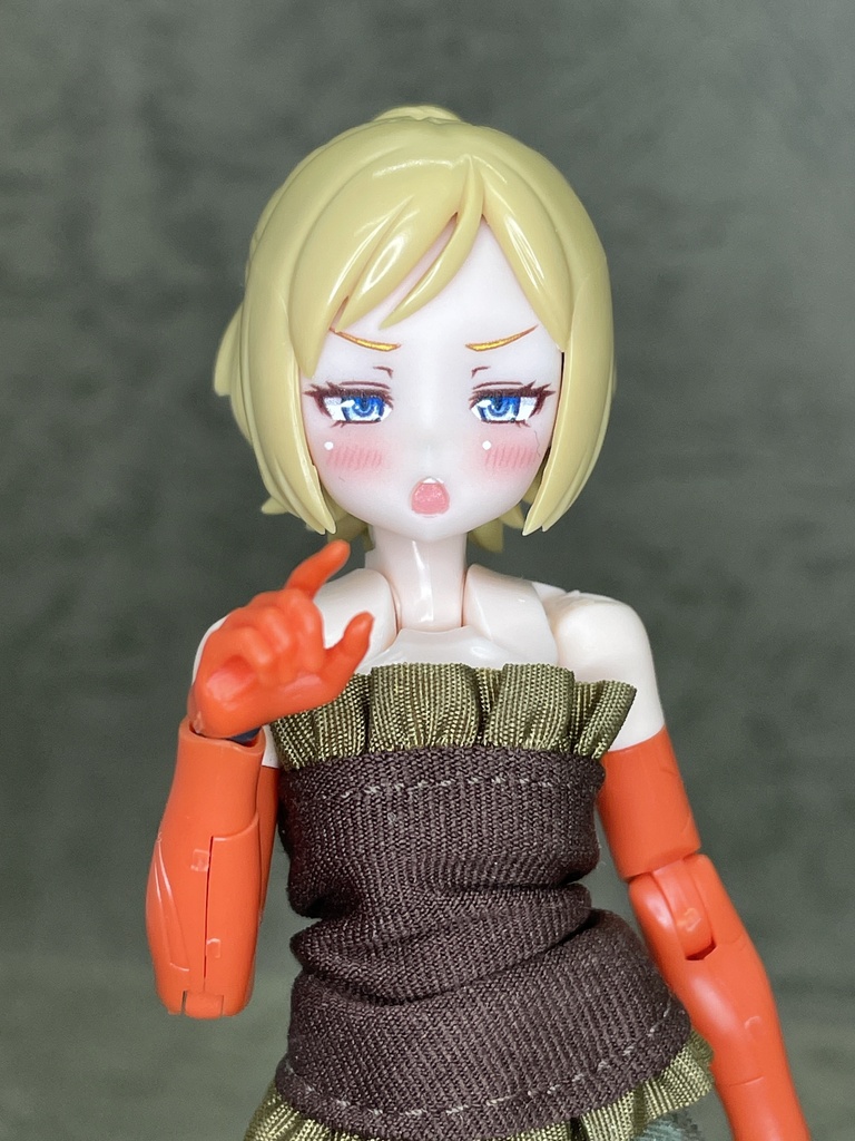 SOLホーネット MODフェイス