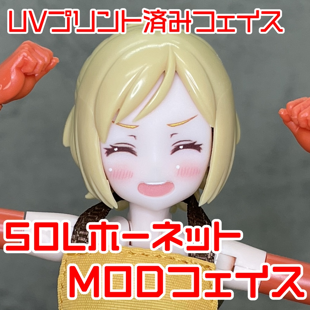 SOLホーネット MODフェイス