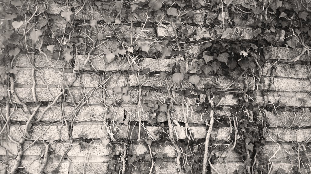 コンクリートと壁のテクスチャ&元写真データ