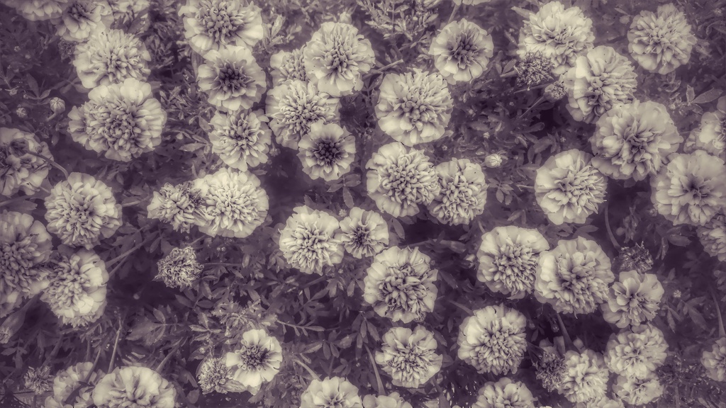 花と木と水の加工テクスチャ&元写真データ