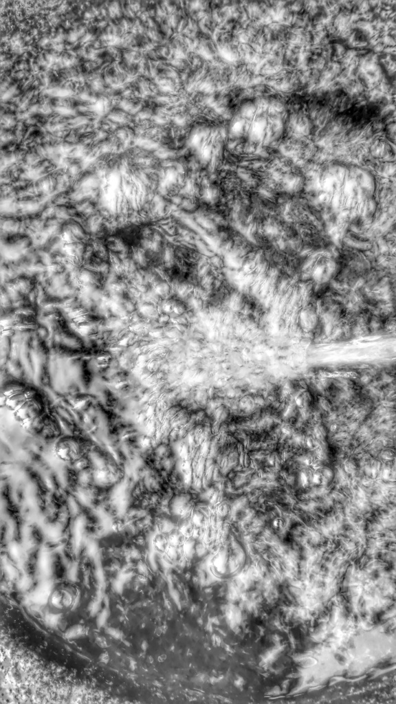 花と木と水の加工テクスチャ&元写真データ