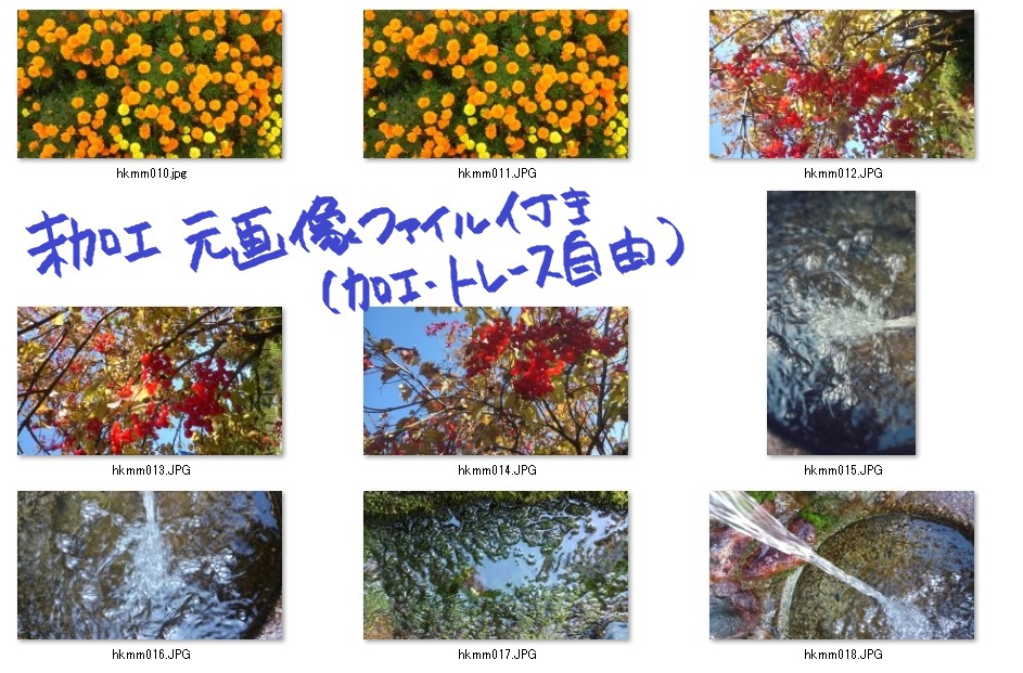 花と木と水の加工テクスチャ&元写真データ