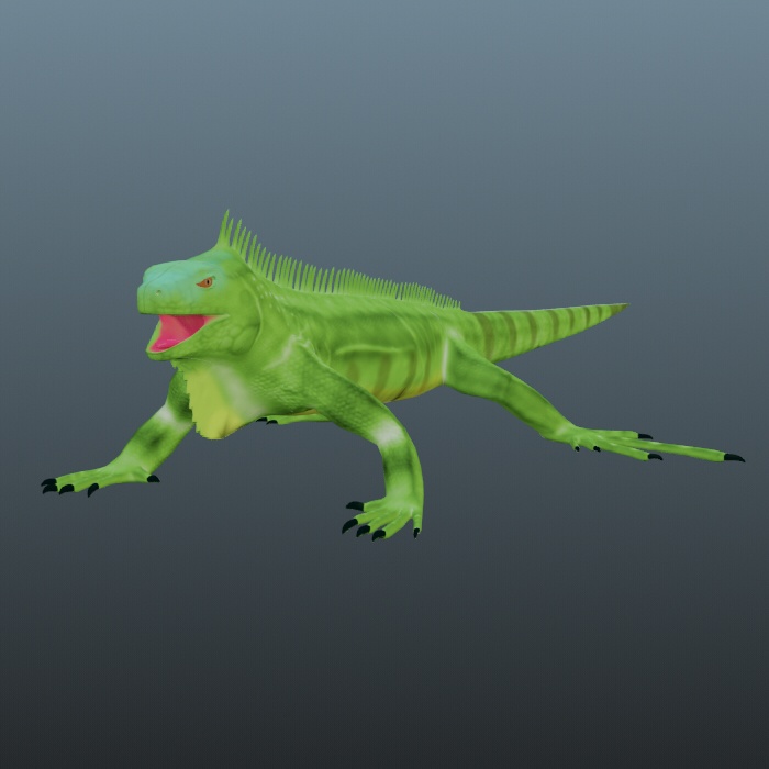 イグアナ　「3dモデル」