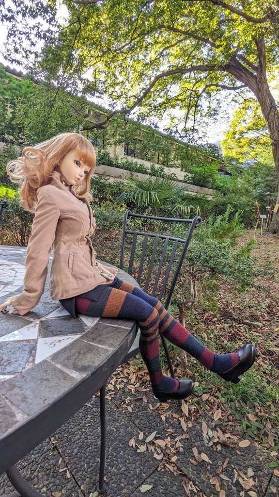 DDPサイズ タイツ ヒッピーストライプ ボルドー