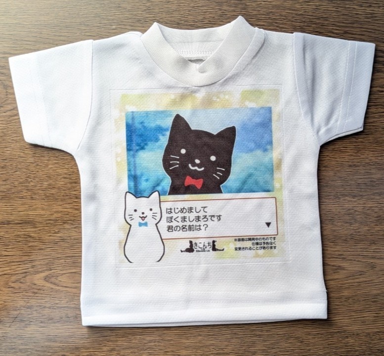 DDサイズ オリジナルプリントビッグT ギャルゲ風 DDDY、SD等着用可能