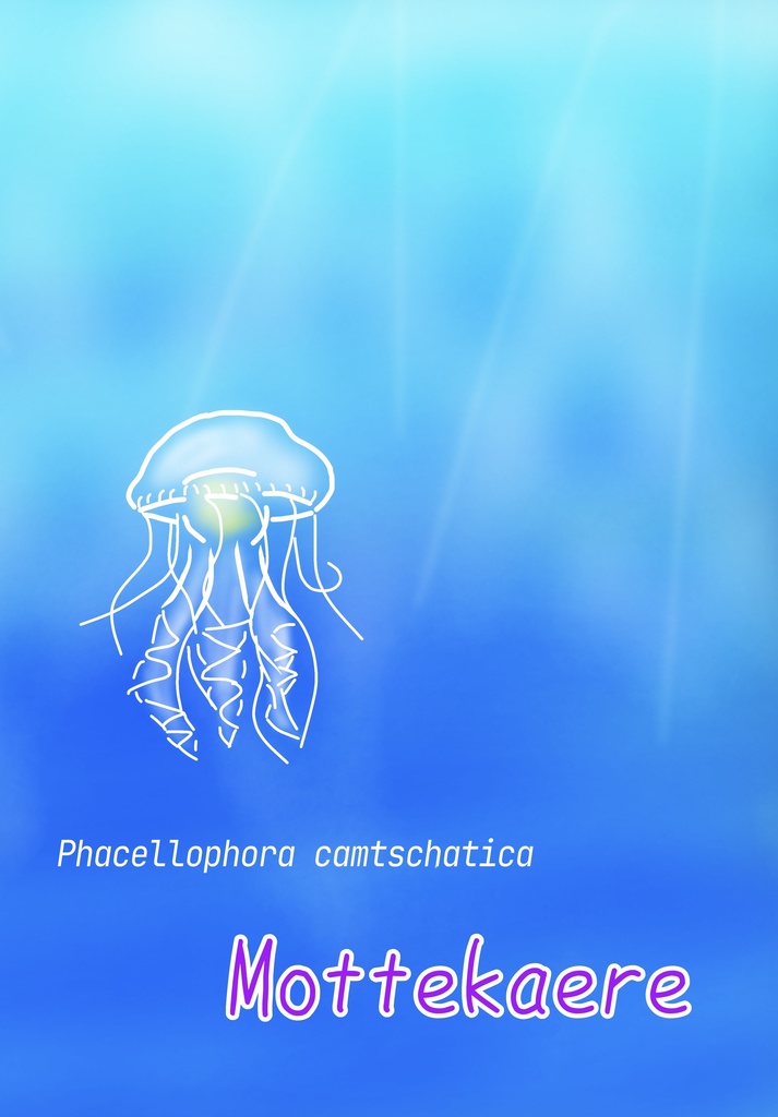 ロリータっぽいクラゲ紹介ファイル