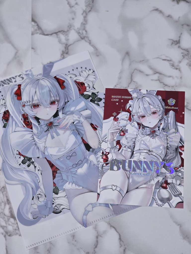 【C108】バニーガール&バニーボーイ新刊セット (8月16日に発送)