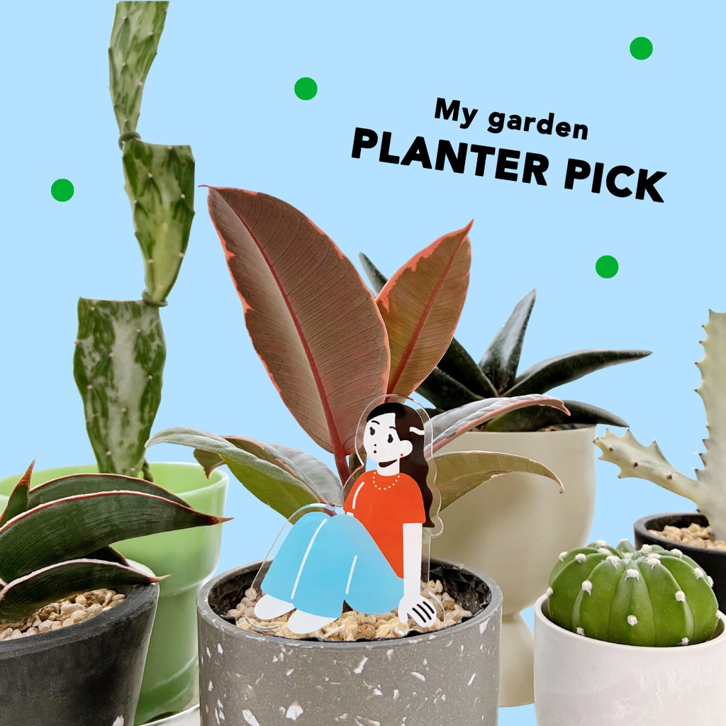 My garden planter pick