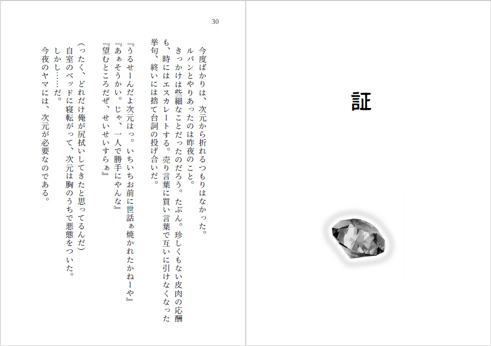 小説文庫本『証』