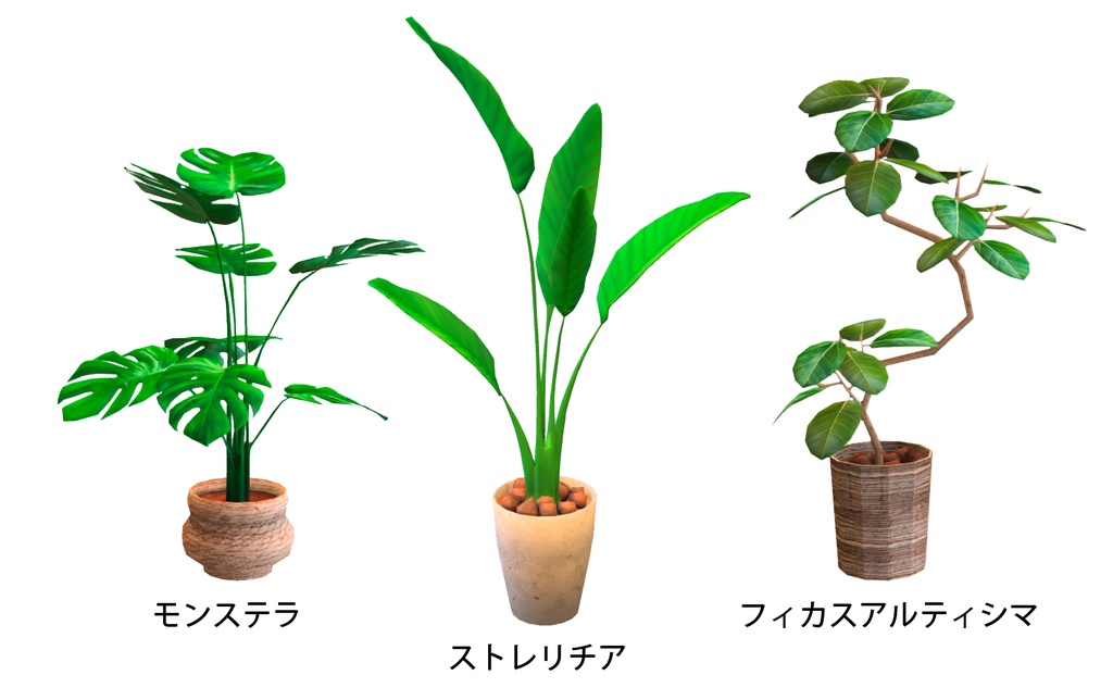 観葉植物3点（モンステラ・フィカスアルティシマ・ストレリチア）