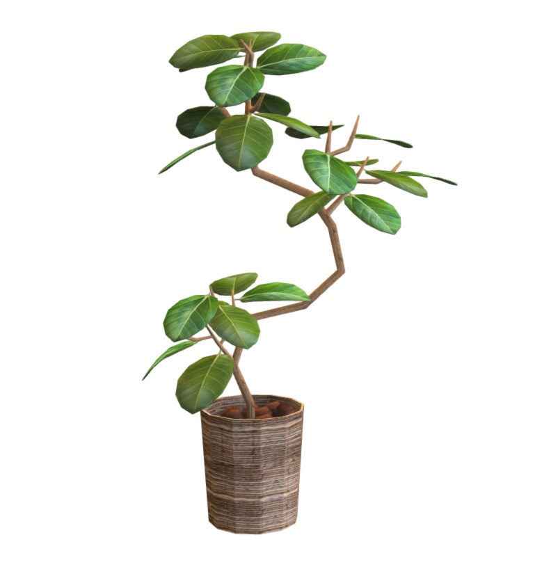 観葉植物3点(モンステラ・フィカスアルティシマ・ストレリチア)