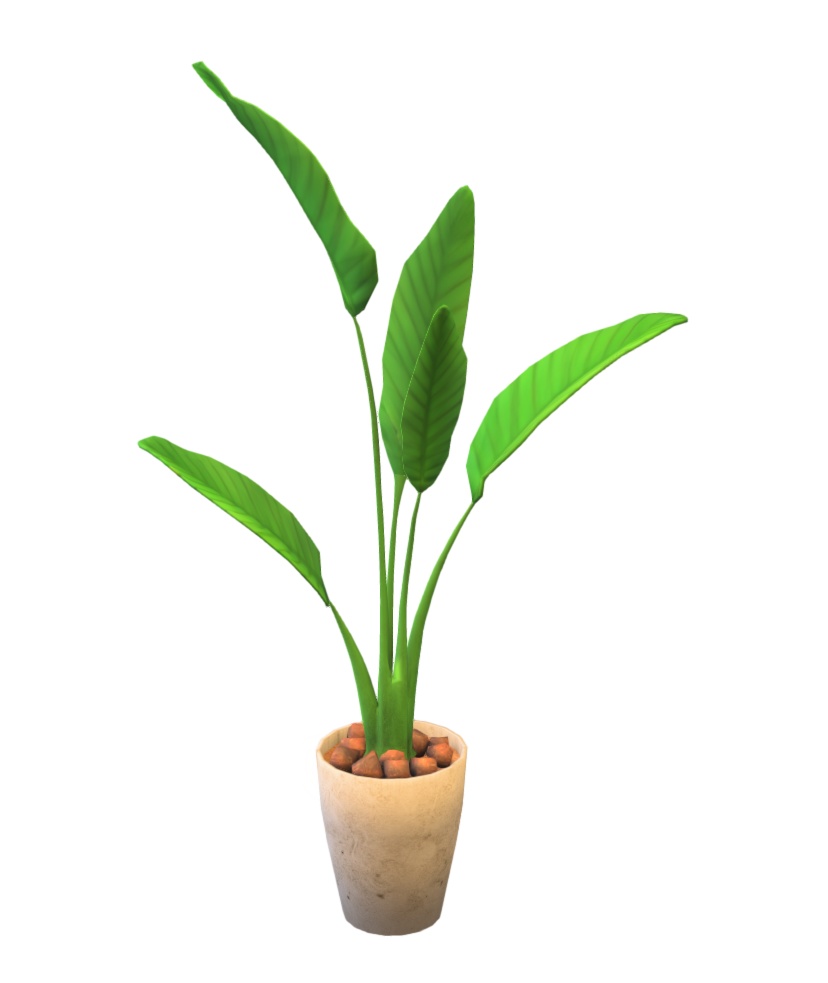 観葉植物3点(モンステラ・フィカスアルティシマ・ストレリチア)