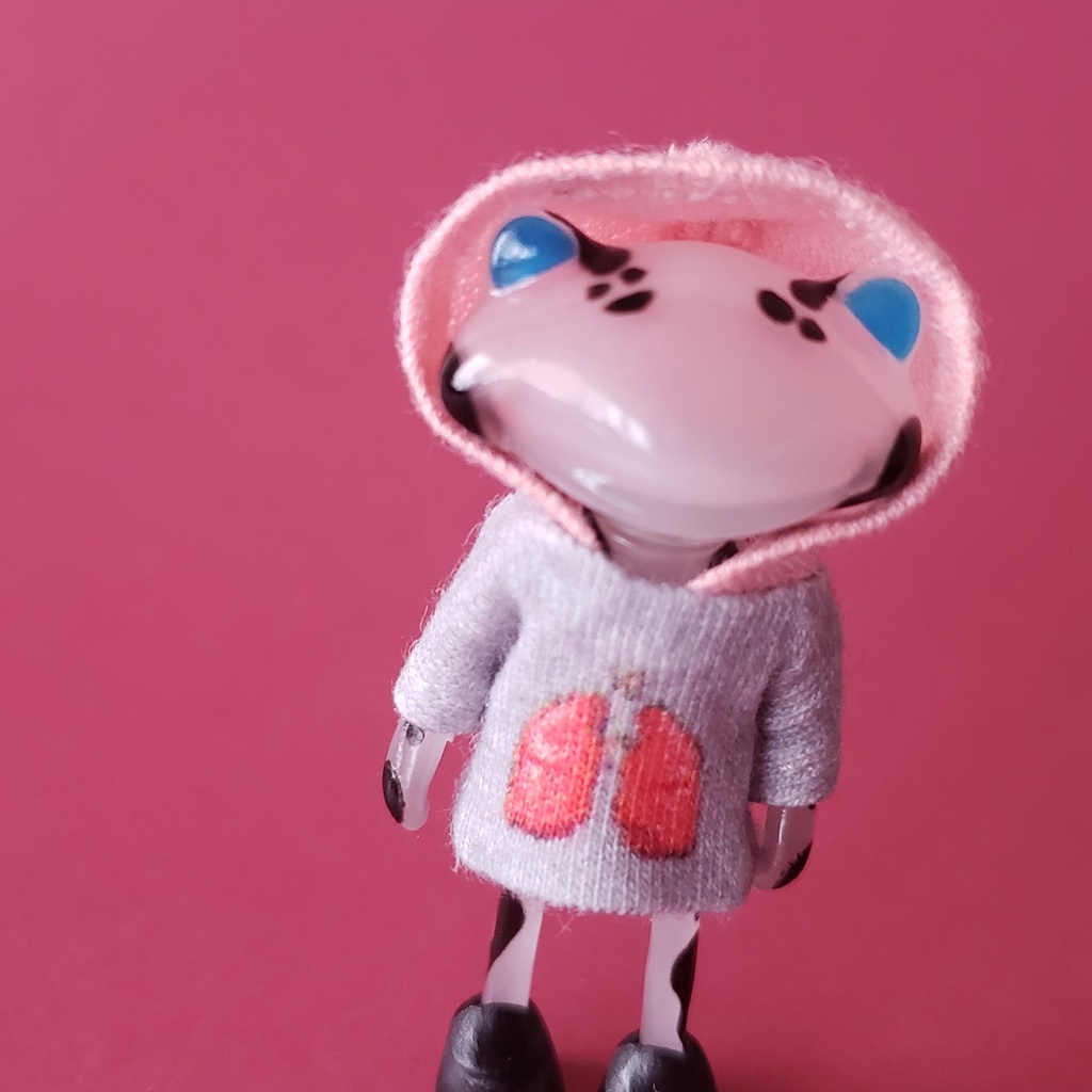 フォーチュンワンダの臓器パーカー♥