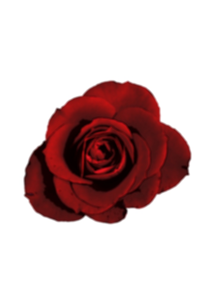 Colored Rose Tattoo Decal 入れ墨