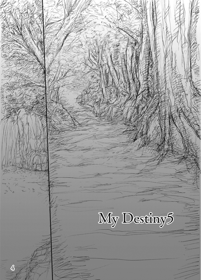My Destiny5
