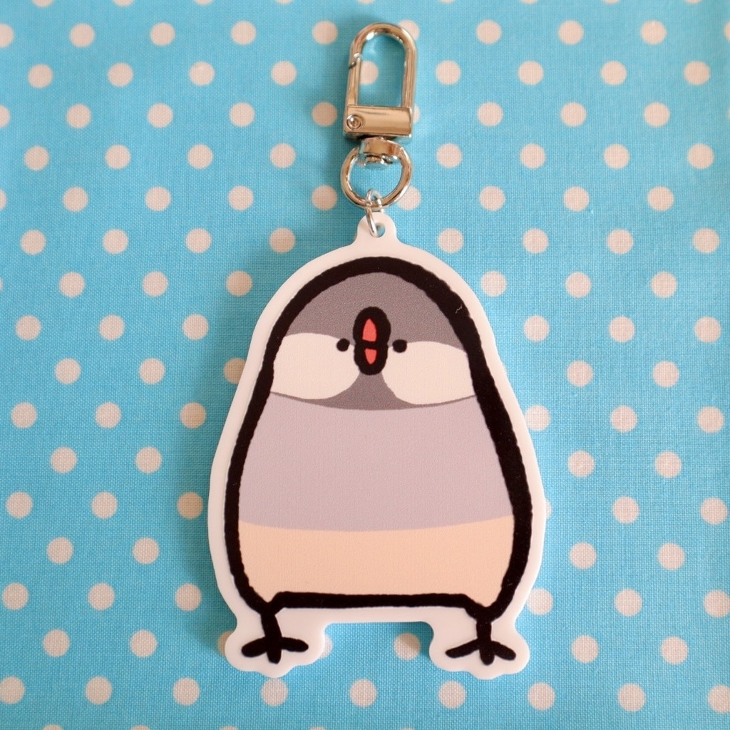 シルバー文鳥です。アクキー