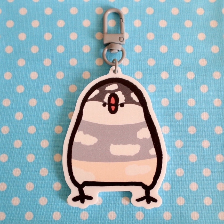 パイド文鳥です。アクキー