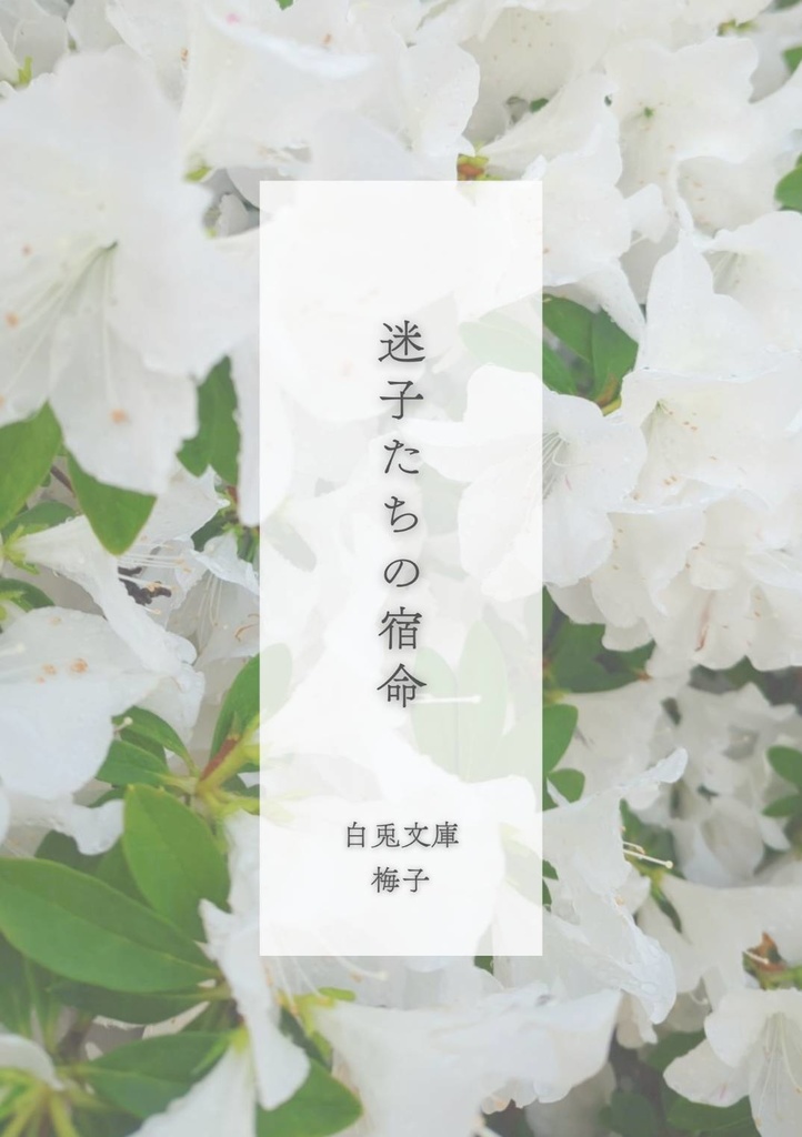 迷子たちの宿命