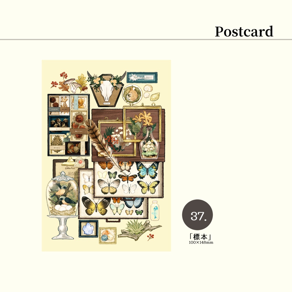 ポストカード①