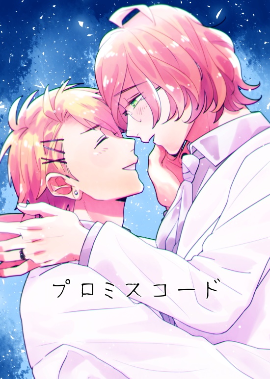 プロミスコード
