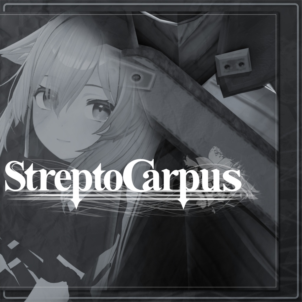 【桔梗想定】Streptocarpus.