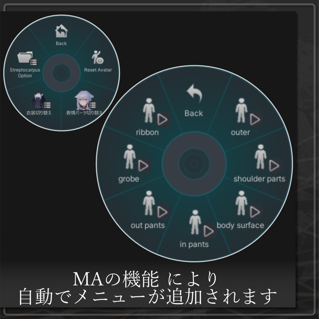 【桔梗想定】Streptocarpus.