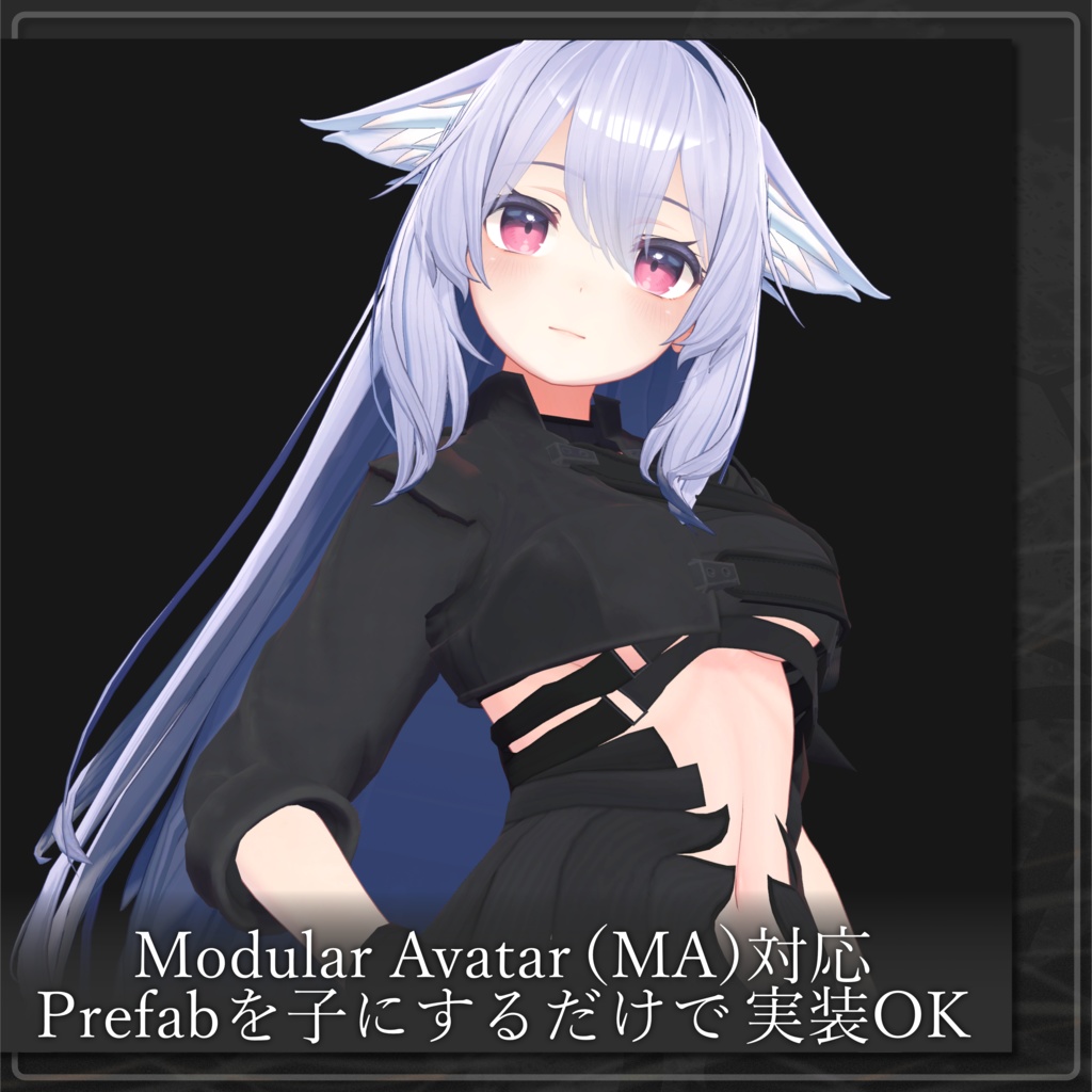 【桔梗想定】Streptocarpus.