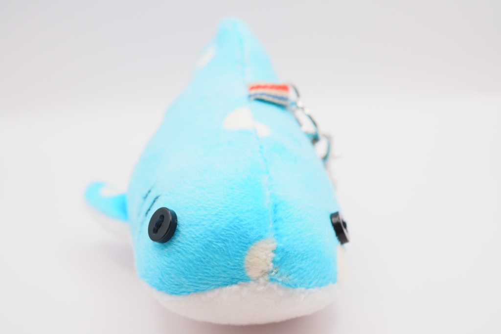 【世界サメの日】よくばりサメセット