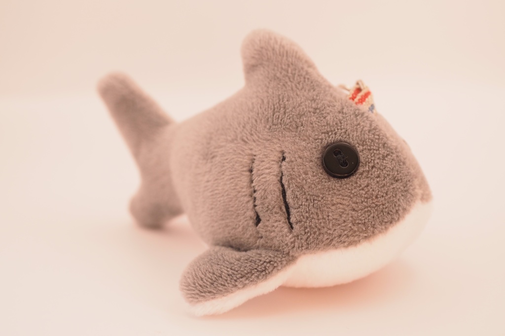 【世界サメの日】よくばりサメセット