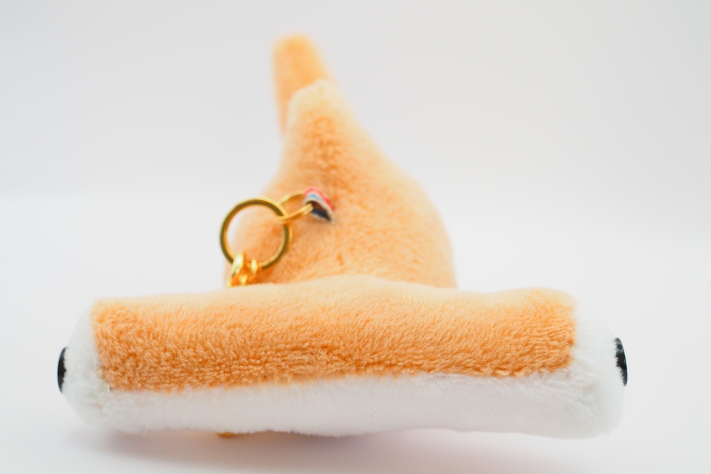 【世界サメの日】よくばりサメセット