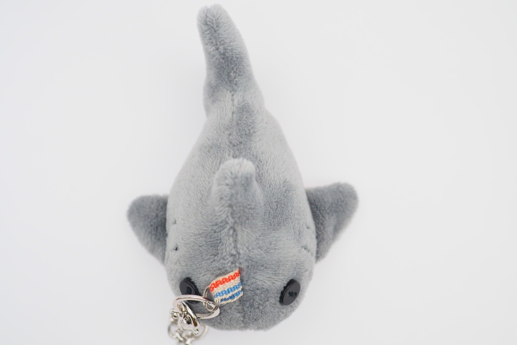 【世界サメの日】よくばりサメセット