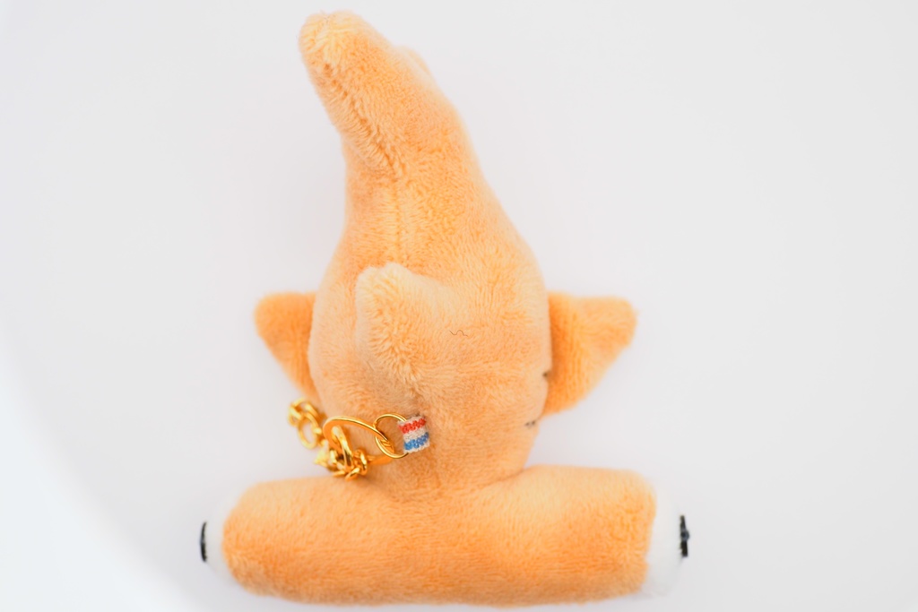 【世界サメの日】よくばりサメセット