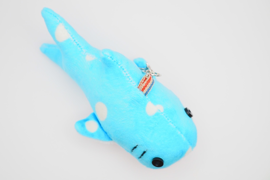 【世界サメの日】よくばりサメセット