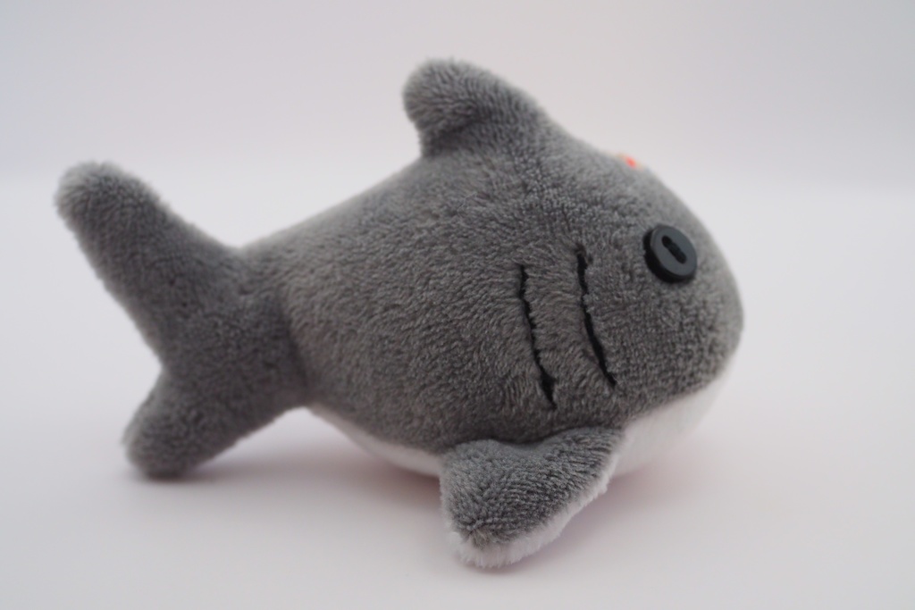 【世界サメの日】よくばりサメセット