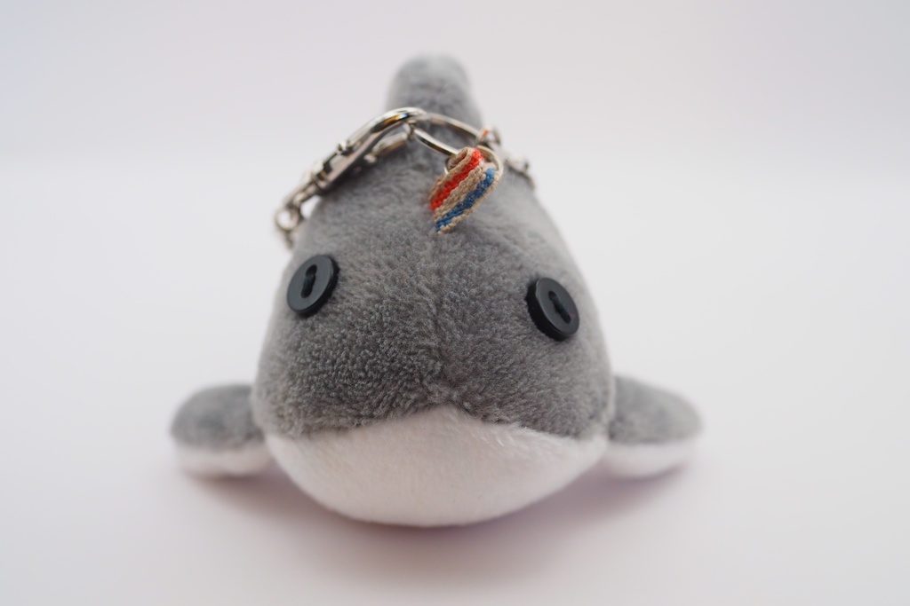 【世界サメの日】よくばりサメセット