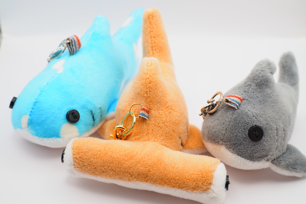 【世界サメの日】よくばりサメセット