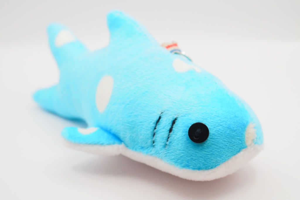 【世界サメの日】よくばりサメセット