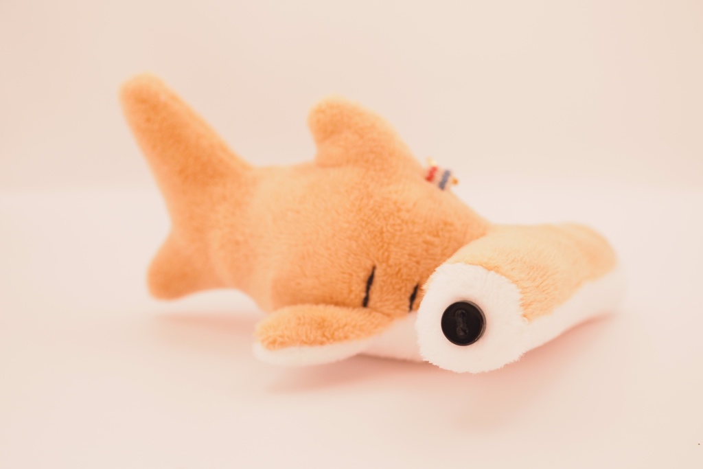 【世界サメの日】よくばりサメセット