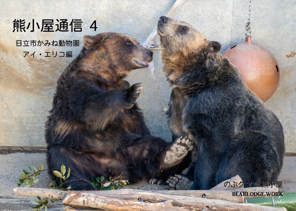 熊小屋通信4