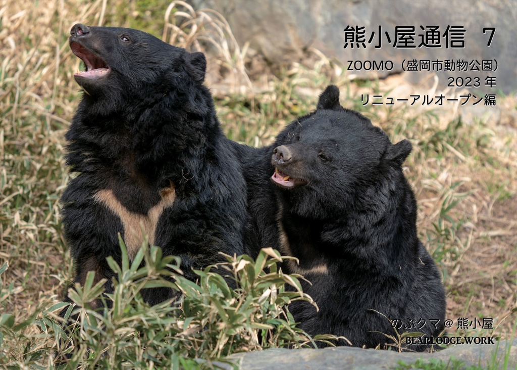 熊小屋通信7