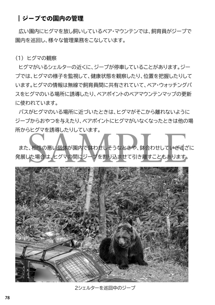 熊小屋通信8「ベア・マウンテンの歩き方」