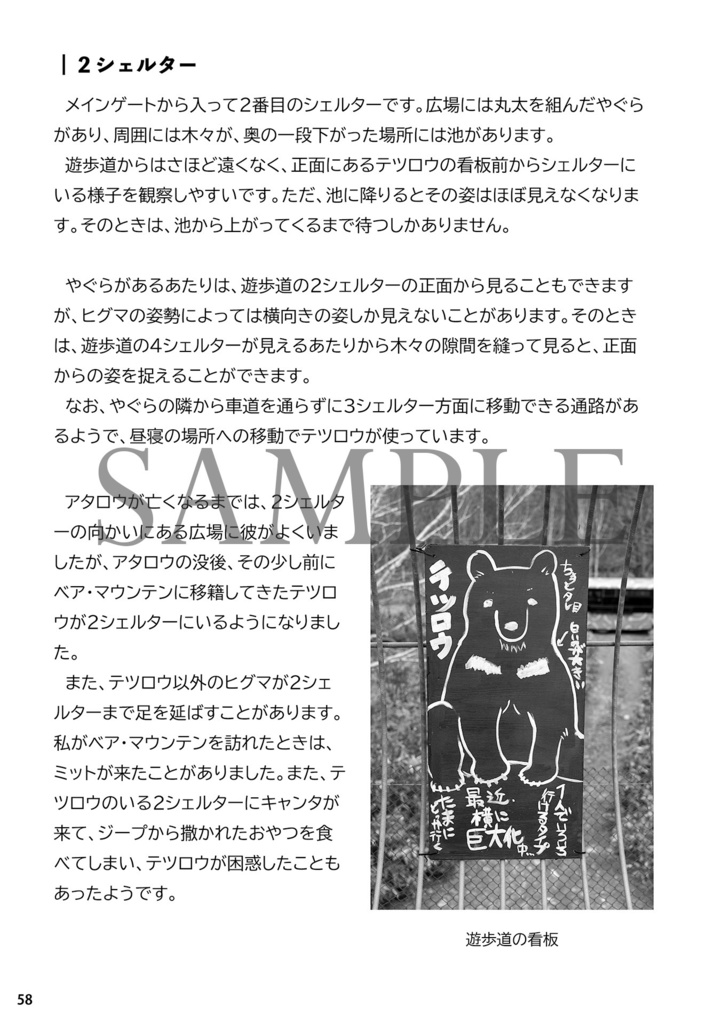 熊小屋通信8「ベア・マウンテンの歩き方」