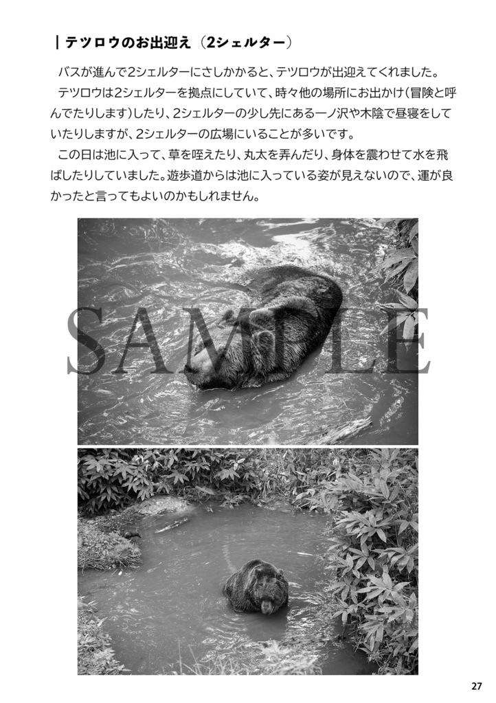 熊小屋通信8「ベア・マウンテンの歩き方」